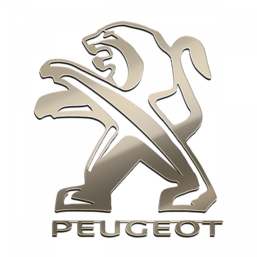 Piese auto Peugeot
